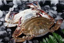 這家平價海鮮店的梭子蟹檢出鎘超標,就算送的也不敢要了!|內(nèi)蒙古-測客