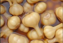 算了， 這樣的糖蒜不吃也罷！|青海-測客