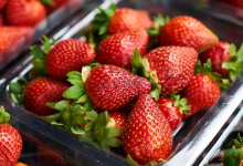 草莓檢出農(nóng)藥殘留超標(biāo)，農(nóng)戶為了搶上市完全不考慮用藥安全間隔期！｜云南-測客