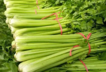 2批次芹菜檢出農(nóng)藥超標(biāo),下次買菜要避開這二個(gè)蔬菜檔!|海南-測(cè)客
