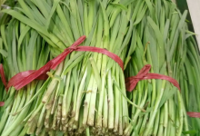 姐妹兒便利店的韭菜問(wèn)題多,檢出多種農(nóng)藥殘留超標(biāo)!|內(nèi)蒙古-測(cè)客