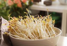 黃豆芽中檢出4-氯苯氧乙酸鈉,疑似催熟劑殘留-測(cè)客