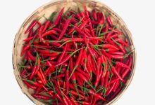 多批次辣椒中檢出鎘超標(biāo)，蔬菜重金屬超標(biāo)問(wèn)題源頭在哪？| 貴州-測(cè)客